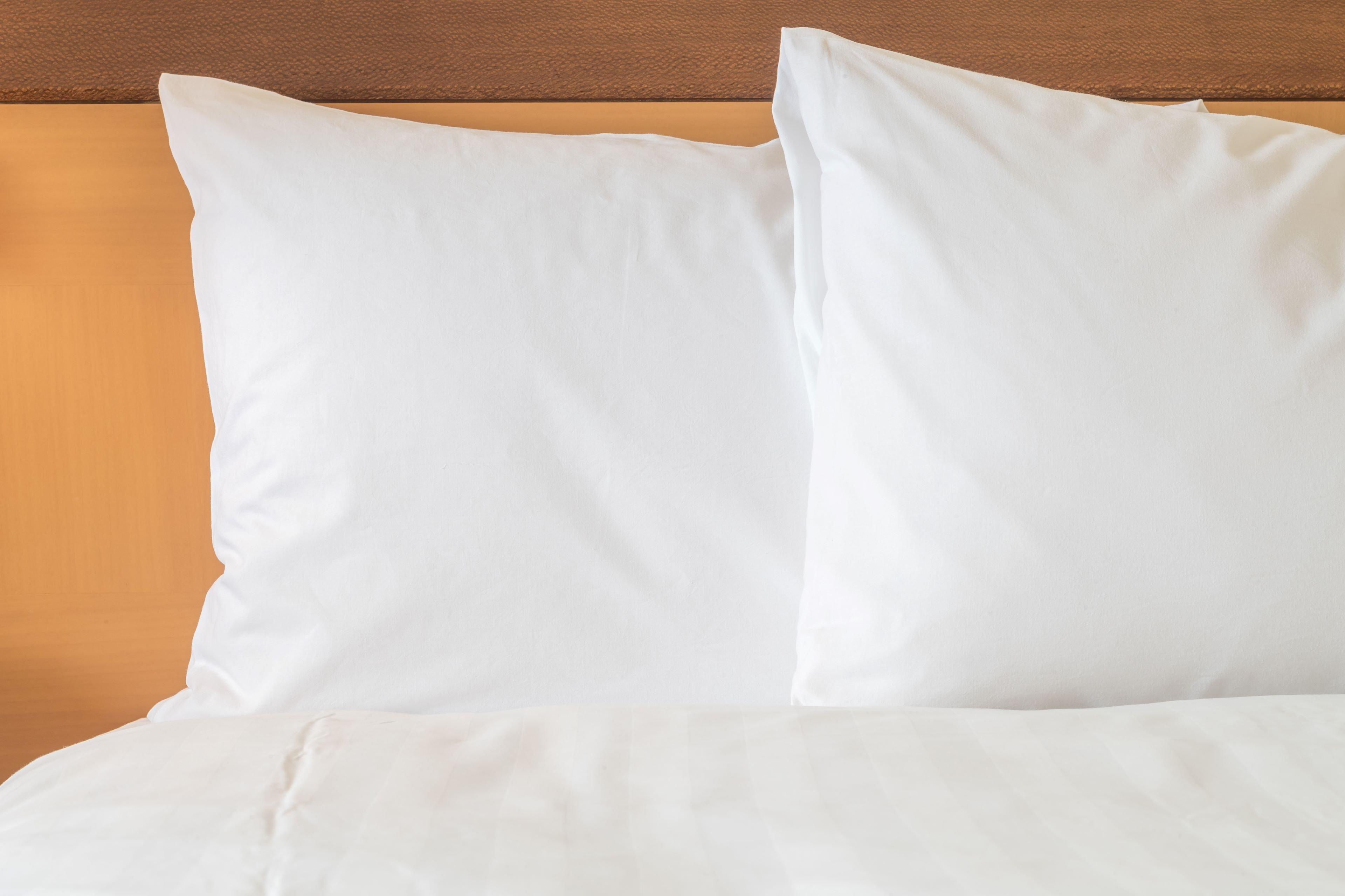 Express & Sarasota East By Ihg Hotel Vamo